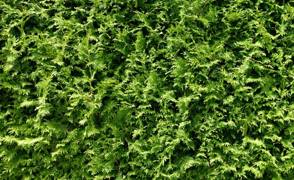 iTraxx 'best imperfect' hedge
