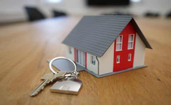 Home sales plunge
