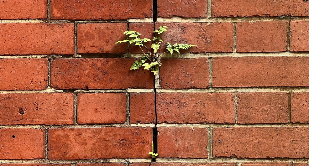 Two mortgage SRTs test market resilience