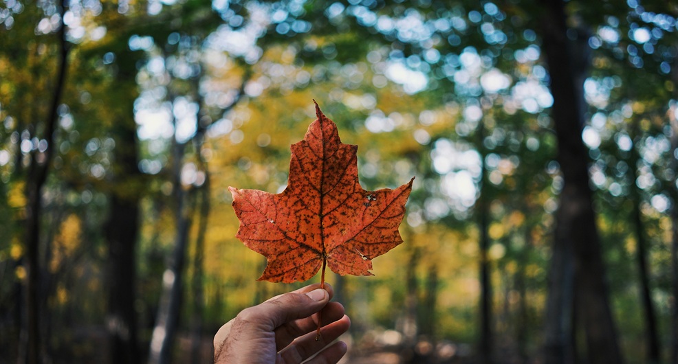 Second Canadian SRT fund reaches first close