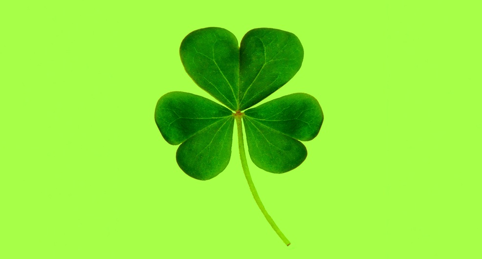 Irish lender targets 25-30bps capital benefit from project finance SRT
